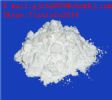 AMPICILLIN  